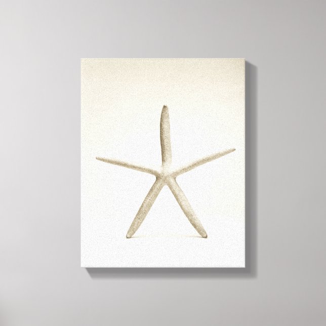 Lienzo Concha de pez estrella (Anverso)