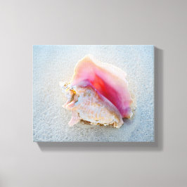Lienzo Concha de Queen Conch en la playa de Bahamas