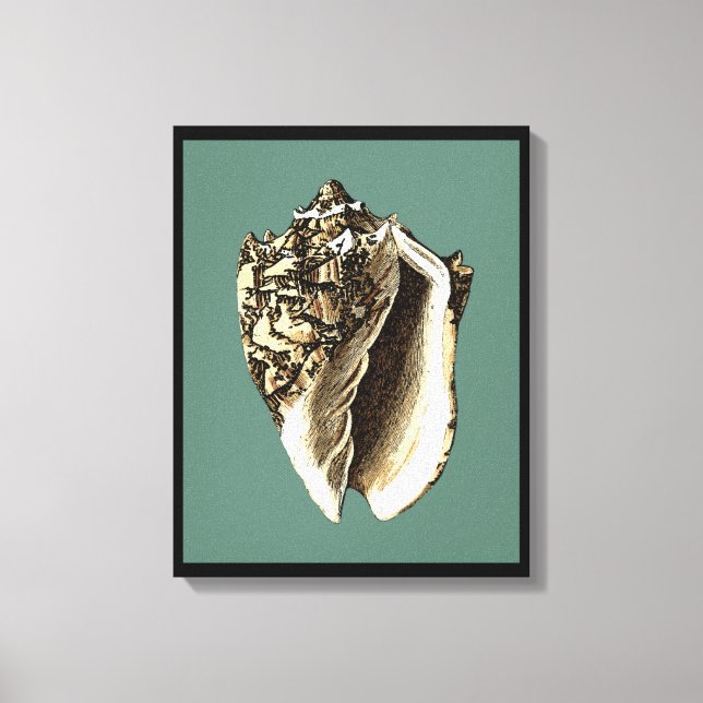 Lienzo Concha verde azulada (Anverso)