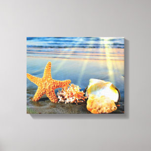 Lienzo conchas de mar y estrellas de mar en la playa