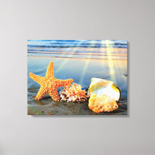 Lienzo conchas de mar y estrellas de mar en la playa