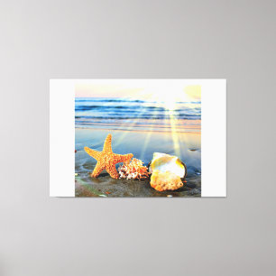 Lienzo conchas de mar y estrellas de mar en la playa