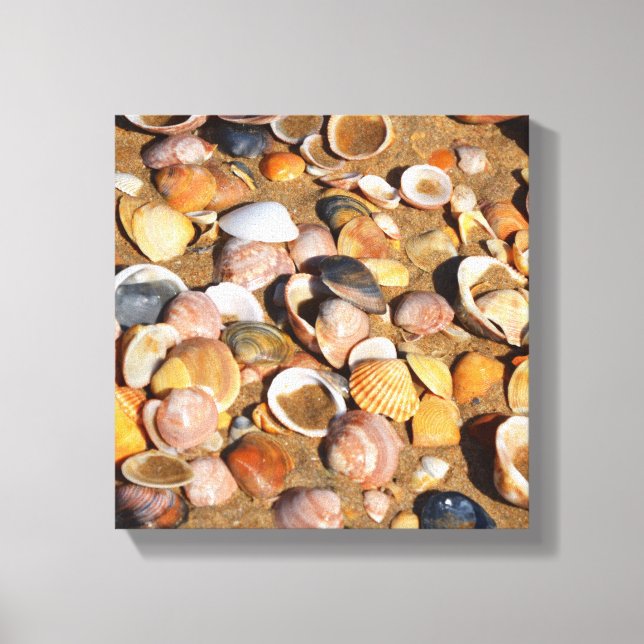 Lienzo Conchas En Una Playa De Arena | Andalucía, España (Anverso)