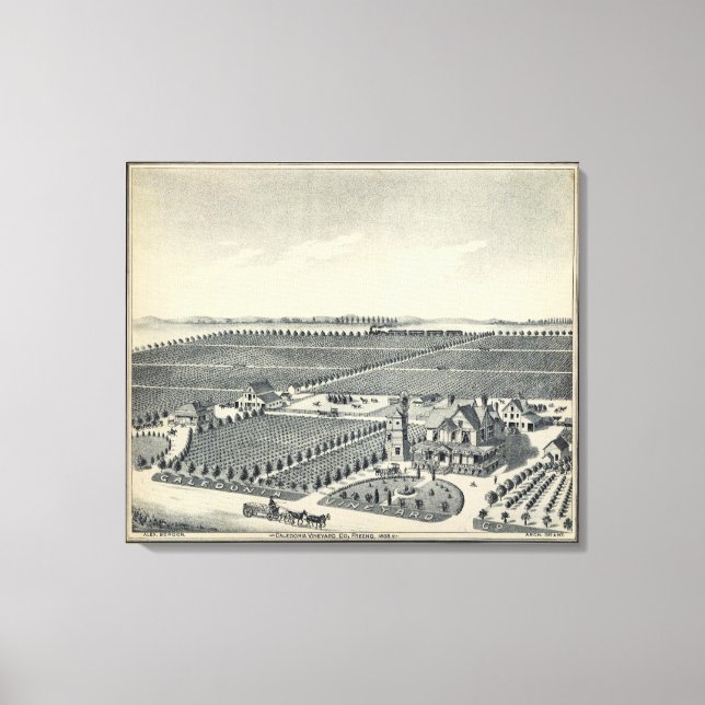 Lienzo Condado de Caledonia Vineyard, Fresno (Anverso)