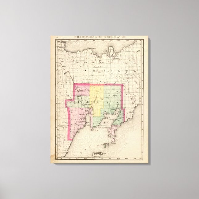 Lienzo Condado de Delta Michigan (Anverso)