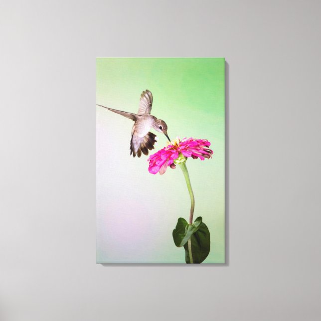 Lienzo Condado de Jeff Davis, Texas (Anverso)