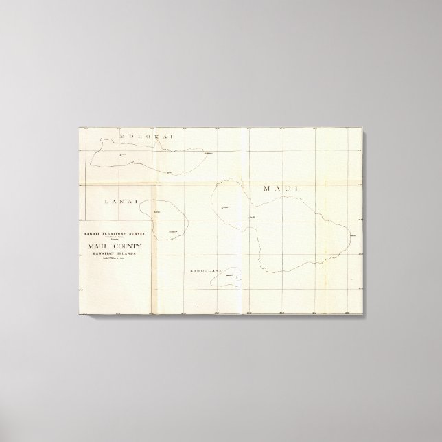 Lienzo Condado de Maui, Hawaii (Anverso)