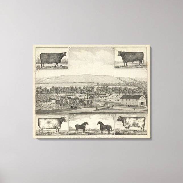 Lienzo Condado de Pottawatomie, Kansas (Anverso)
