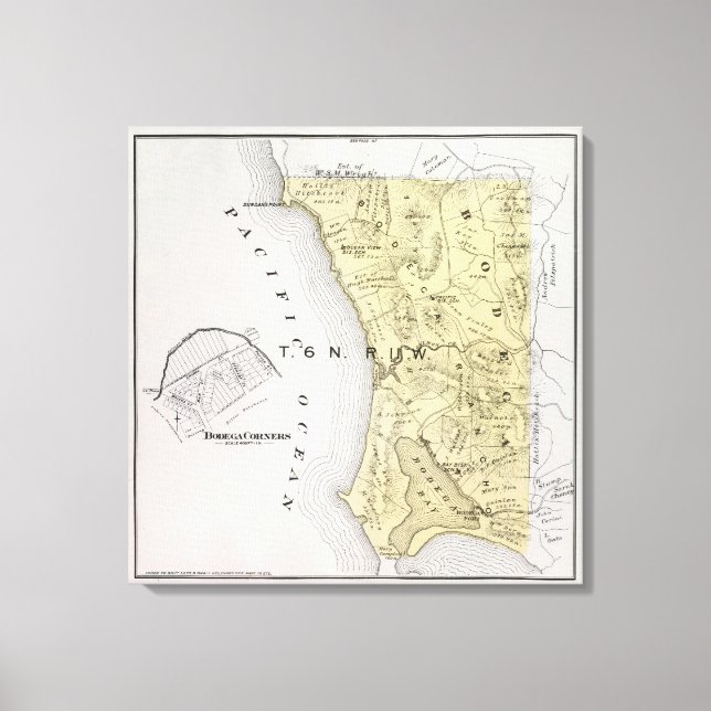 Lienzo Condado de Sonoma, California 28 (Anverso)