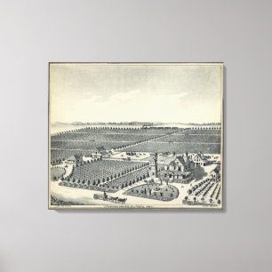 Lienzo Condado del viñedo de Caledonia, Fresno