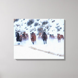 Lienzo Conducción de caballos vaqueros   Rancho Hideout, 