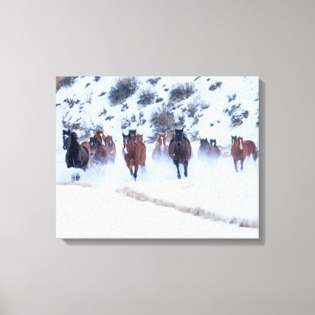 Lienzo Conducción de caballos vaqueros | Rancho Hideout,  (Anverso)
