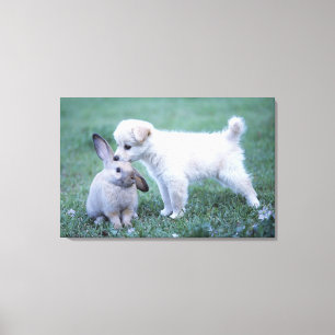 Lienzo Conejo del perrito y del oído del Lop en césped