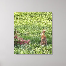 Lienzo Conejo en la hierba - Fotografía pacífica de la na