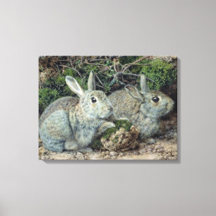 Lienzo Conejos