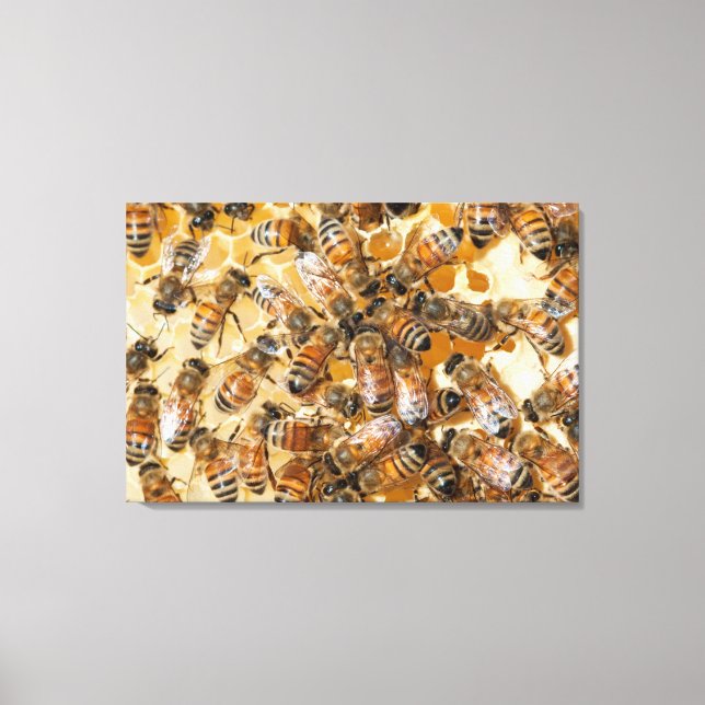 Lienzo Conservación de abejas en la granja de miel de Arl (Anverso)