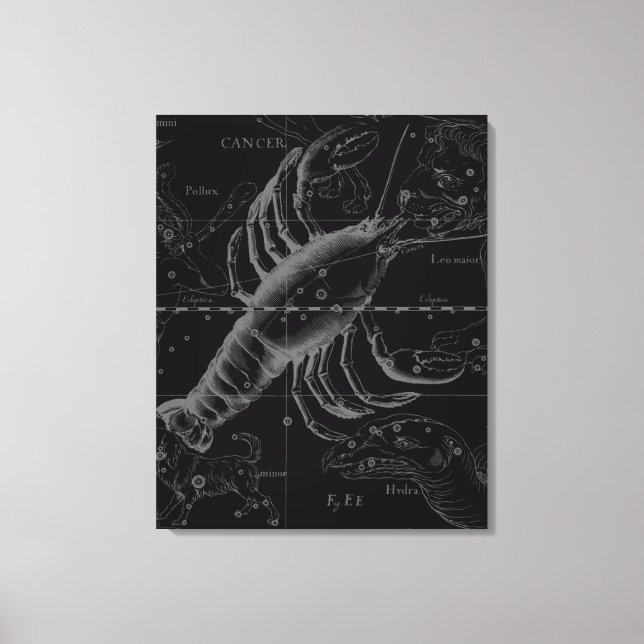 Lienzo Constelación de cáncer Hevelius 1690 Decor (Anverso)