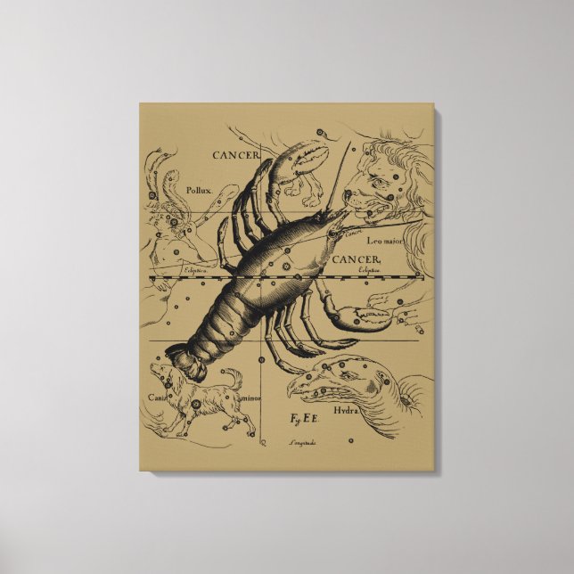 Lienzo Constelación de Zodiaco contra el Cáncer por Hevel (Anverso)