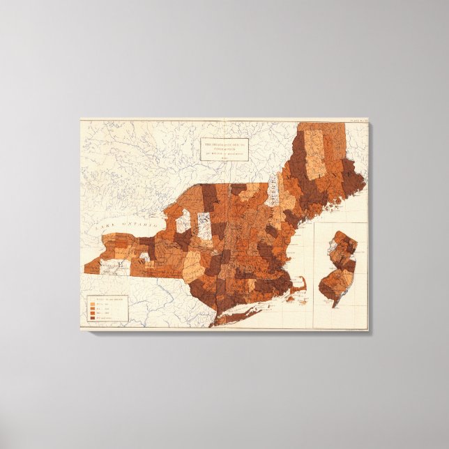 Lienzo Consumo NY, NJ, Nueva Inglaterra (Anverso)