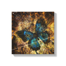 Contemplar El Efecto Mariposa