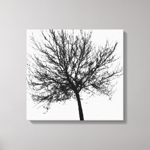 Lienzo Contorno de un árbol