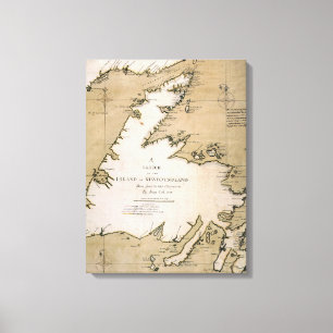 LIENZO COOK: NEWFOUNDLAND, 1763