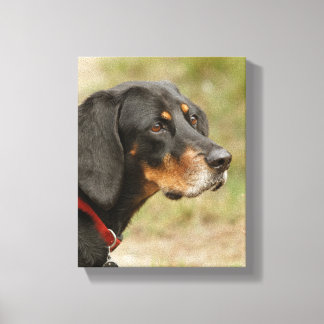 Lienzo Coon Hound - Gracie Lou