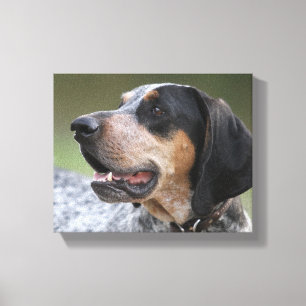 Lienzo Coonhound