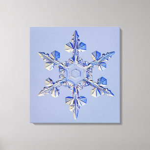 Lienzo Copo de nieve 2