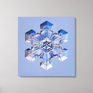 Lienzo Copo de nieve 3