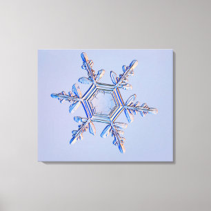 Lienzo Copo de nieve 4