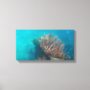 Lienzo CORAL EN CANVAS 20 "x 16"