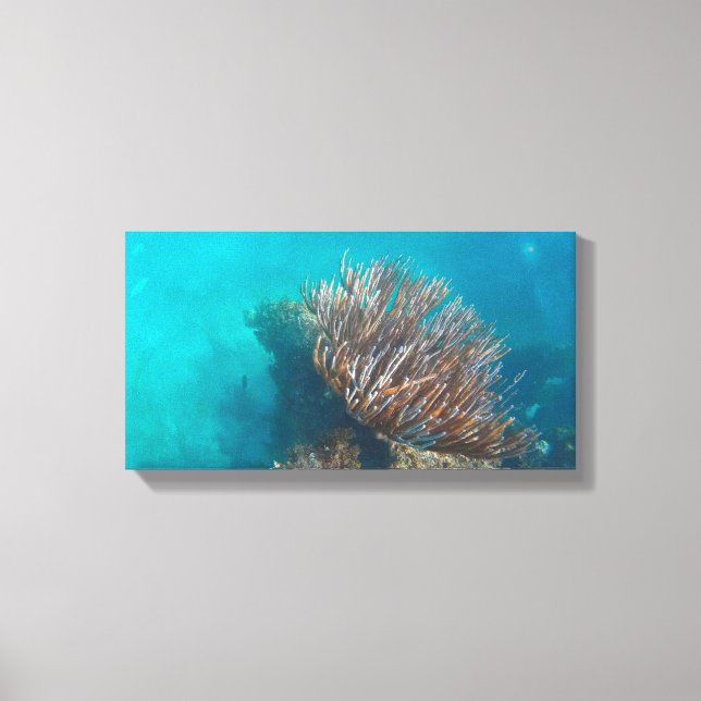 Lienzo CORAL EN CANVAS 20 "x 16" (Anverso)