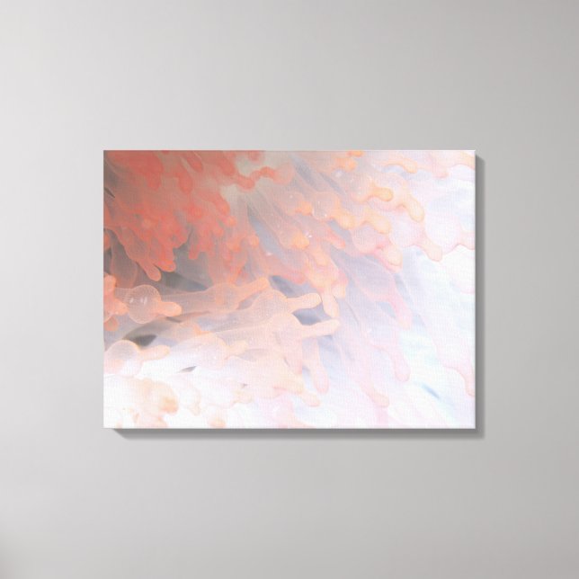 Lienzo Coral Gorgonano 4 (Anverso)