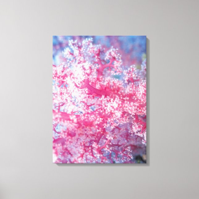 Lienzo Coral gorgono (Anverso)