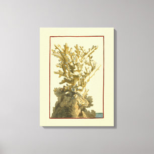Lienzo Coral junto al mar
