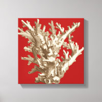 Coral pequeño en rojo