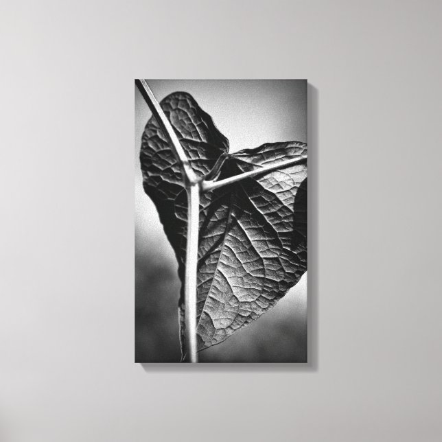 Lienzo corazón crucificado (Anverso)