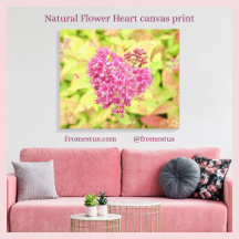 Corazón de flor natural - perforado por flecha.