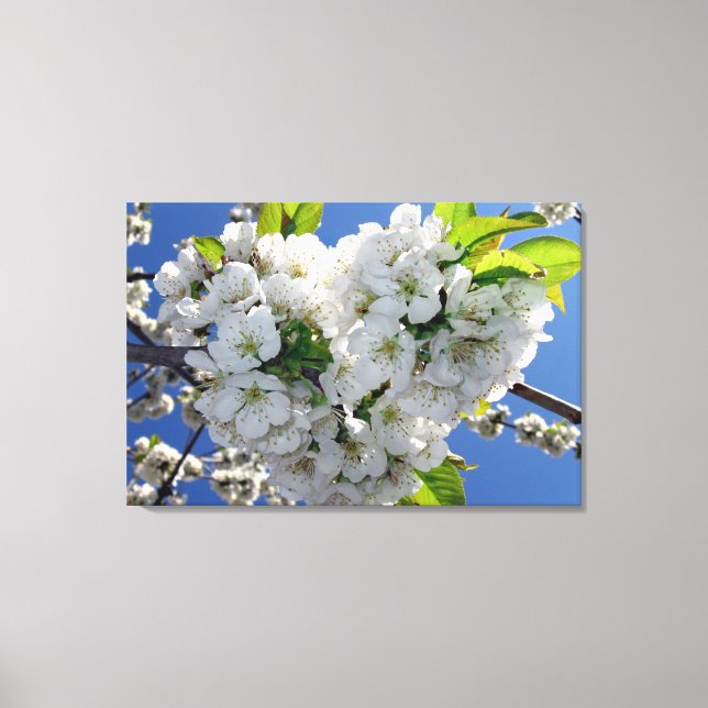 Lienzo Corazón de flores de cerezo (Anverso)