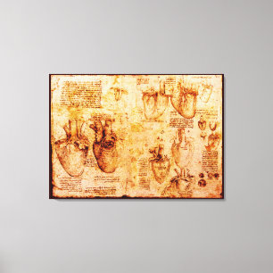 Lienzo Corazón Y Sus Vasos De Sangre, Marrón