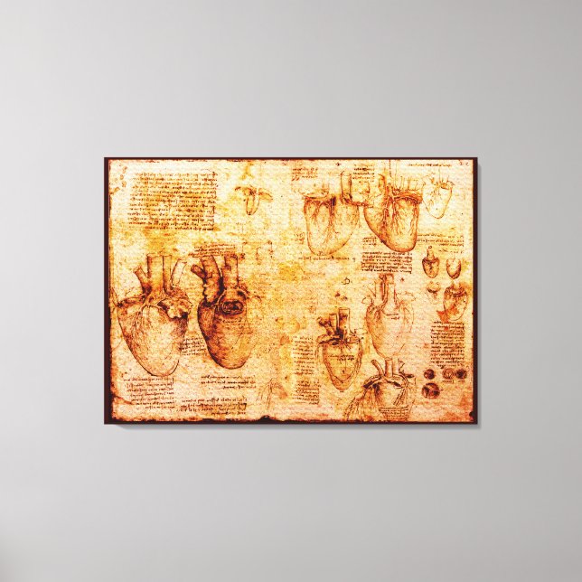 Lienzo Corazón Y Sus Vasos De Sangre, Marrón (Anverso)