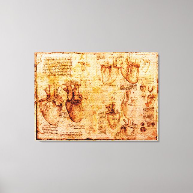 Lienzo Corazón Y Sus Vasos De Sangre, Marrón (Anverso)