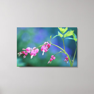 Lienzo Corazones rosados sangrando en el jardín. Crédit