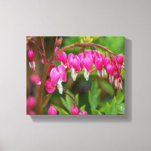 Lienzo Corazones Sangrantes en Día Lluvioso