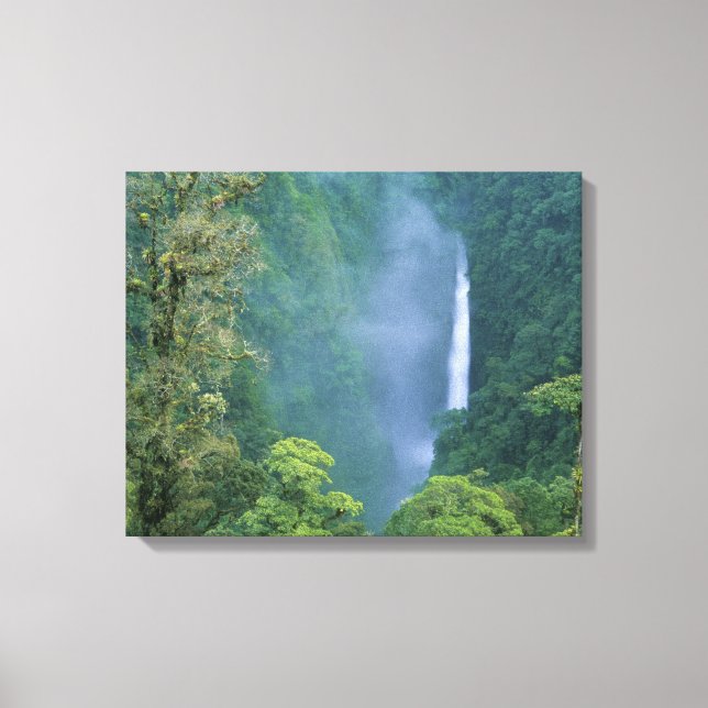 Lienzo Cordillera Central, Angel Congo) Cataratas, muchos (Anverso)