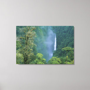 Lienzo Cordillera Central, Angel Congo) Cataratas, muchos