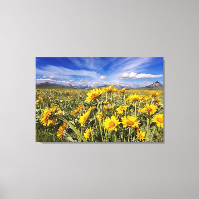 Lienzo Cordillera de Montaña Rocosa (Anverso)