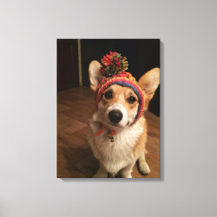 Lienzo Corgi Pembroke Galés Con Un Gorra De Punto De Mano