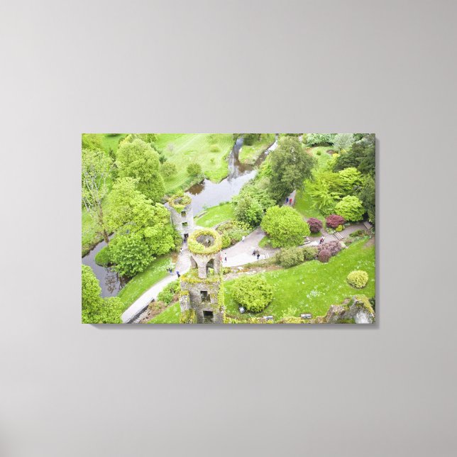 Lienzo Cork, Irlanda. El infame castillo de Blarney (Anverso)